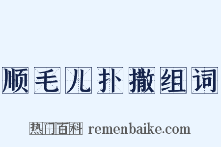 顺毛儿扑撒组词是什么意思的图片